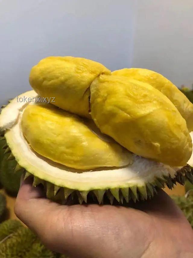 榴莲价格暴跌50%：抢购与储存全攻略